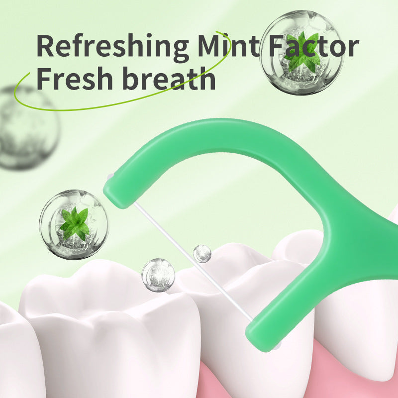 Mint Dental Floss Sticks with Carrying Case